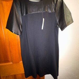 Ann Taylor Leather Dress (12)